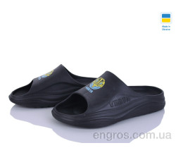 Шлепки Golden Lion